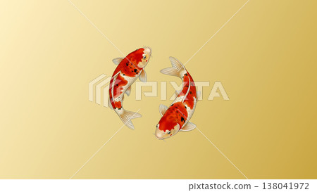 兩條錦鯉在金色和紙漸變背景下斜向遊動：一幅優雅吉祥的日式插圖。 138041972