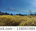 Mt. Fuji and mitsumata flowers 138041984