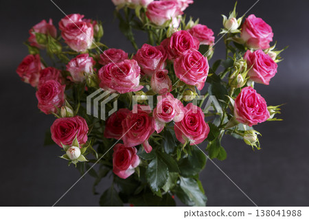 Beautiful bouquet of pink (red) roses bushes with water drops on a black background. Selective focus, close-up. Beautiful bouquet of pink (red) roses bushes with water drops on a black background. Selective focus, close-up. 138041988