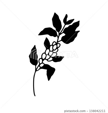 Hand drawn coffee plant branch with beans doodle icon silhouette vector illustration 138042211