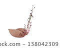 A raw sweet potato with long, thin, upright stems with leaves sprouting from it. 138042309