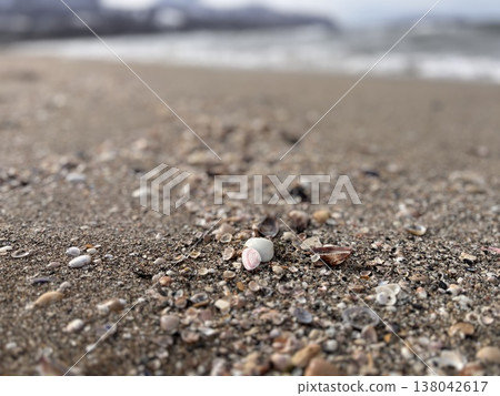 Seashell and sandy beach Seashell and sandy beach 138042617