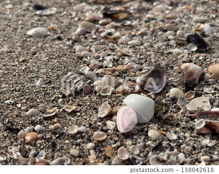 Seashell and sandy beach Seashell and sandy beach 138042618