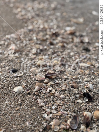 貝殼和沙灘 138042622