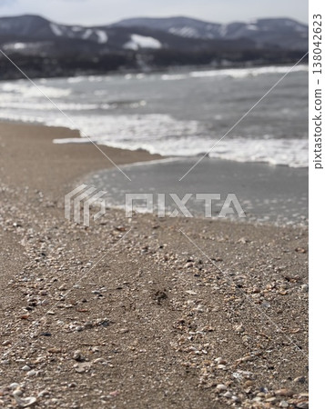 Seashell and sandy beach Seashell and sandy beach 138042623