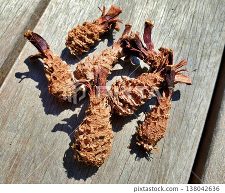 Assortment of fried shrimp from the forest Assortment of fried shrimp from the forest 138042636