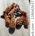 Assortment of fried shrimp from the forest 138042637