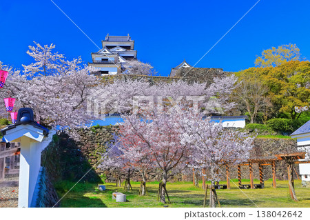 [Ehime Prefecture] Ozu Castle in spring when cherry blossoms bloom 138042642