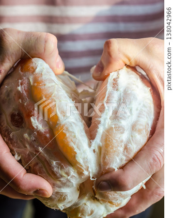 Close-up of a man's hands forcefully splitting a large, peeled pomelo fruit in half to reveal the juicy interior. Close-up of a man's hands forcefully splitting a large, peeled pomelo fruit in half to reveal the juicy interior. 138042966