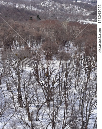 View from Sapporo Moiwayama Ropeway View from Sapporo Moiwayama Ropeway 138043061