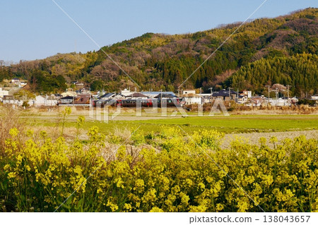 A KiHa 127 series train runs through a rural area where rapeseed flowers are in bloom. A KiHa 127 series train runs through a rural area where rapeseed flowers are in bloom. 138043657
