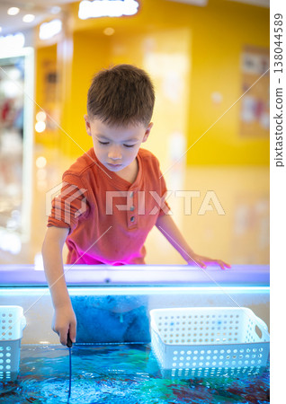 Happy boy scooping fish with a small net Happy boy scooping fish with a small net 138044589