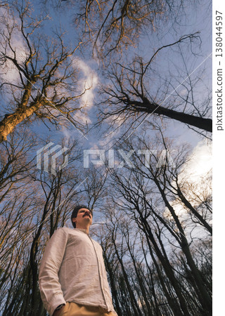 Man Looking Up at Tall Trees in Sunlit Forest Man Looking Up at Tall Trees in Sunlit Forest 138044597