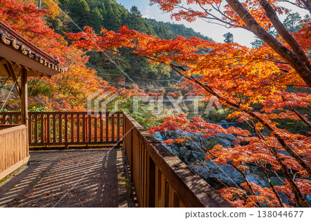 Autumn foliage at Oihira Park in Toyota City (Aichi Prefecture) 138044677