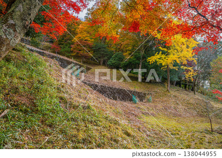 豐田市大平公園的紅葉景觀（愛知縣） 138044955