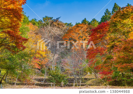 Autumn foliage at Oihira Park in Toyota City (Aichi Prefecture) 138044988