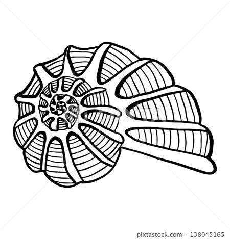 Vector hand-drawn illustration of a seashell. Seashell vector. Black and white marine sketch, isolated on a white background, perfect for a logo or decorative print. Vector hand-drawn illustration of a seashell. Seashell vector. Black and white marine sketch, isolated on a white background, perfect for a logo or decorative print. 138045165