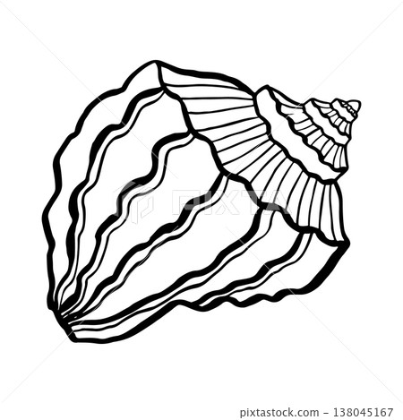 Vector hand-drawn illustration of a seashell. Seashell vector. Black and white marine sketch, isolated on a white background, perfect for a logo or decorative print. 138045167