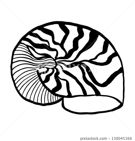 Vector hand-drawn illustration of a seashell. Seashell vector. Black and white marine sketch, isolated on a white background, perfect for a logo or decorative print. Vector hand-drawn illustration of a seashell. Seashell vector. Black and white marine sketch, isolated on a white background, perfect for a logo or decorative print. 138045168