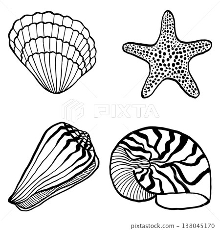 Set of hand-drawn vector images featuring a scallop, clam shell, and starfish. Seashell vector. Graphic black and white marine collection, isolated on a white background, for nautical design. Set of hand-drawn vector images featuring a scallop, clam shell, and starfish. Seashell vector. Graphic black and white marine collection, isolated on a white background, for nautical design. 138045170