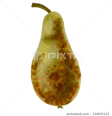 Watercolor illustration of a single ripe, speckled green pear. Ideal for food packaging, labels, recipe cards, market posters, textile, and kitchen decor Watercolor illustration of a single ripe, speckled green pear. Ideal for food packaging, labels, recipe cards, market posters, textile, and kitchen decor 138045323