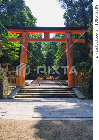 [Kasuga Taisha Shrine] A World Heritage Site that represents Nara 138045598