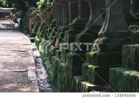 [Kasuga Taisha Shrine] A World Heritage Site that represents Nara 138045600
