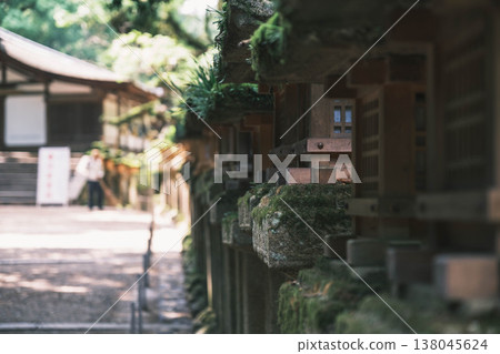 [Kasuga Taisha Shrine] A World Heritage Site that represents Nara 138045624