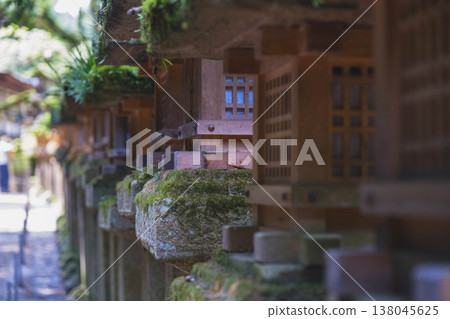 [Kasuga Taisha Shrine] A World Heritage Site that represents Nara 138045625
