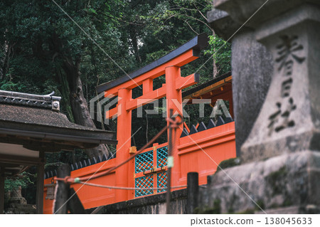 [Kasuga Taisha Shrine] A World Heritage Site that represents Nara 138045633