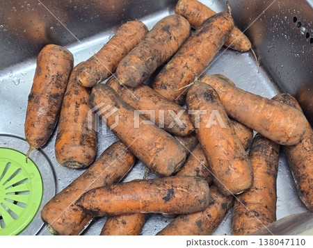 very fresh organic carrots bunch very fresh organic carrots bunch 138047110