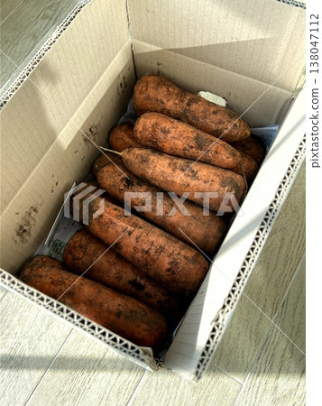 very fresh organic carrots bunch very fresh organic carrots bunch 138047112