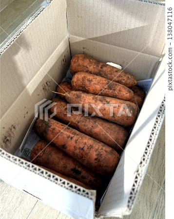 very fresh organic carrots bunch very fresh organic carrots bunch 138047116