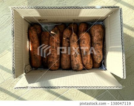 very fresh organic carrots bunch very fresh organic carrots bunch 138047119