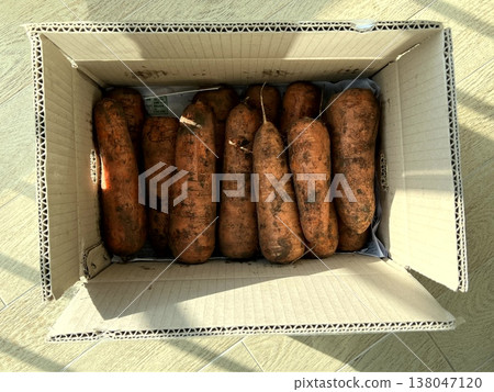 very fresh organic carrots bunch very fresh organic carrots bunch 138047120