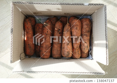 very fresh organic carrots bunch 138047137