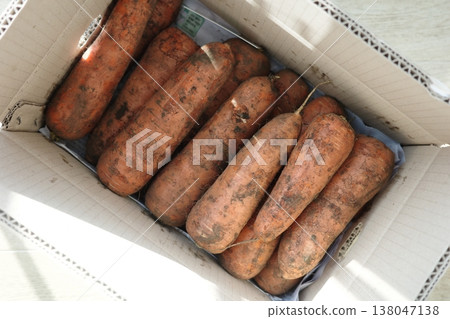 very fresh organic carrots bunch 138047138