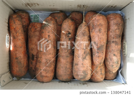 very fresh organic carrots bunch 138047141