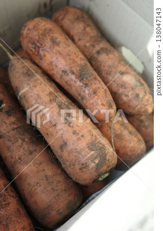 very fresh organic carrots bunch very fresh organic carrots bunch 138047143