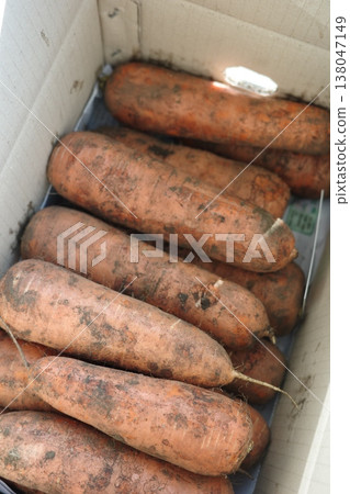 very fresh organic carrots bunch very fresh organic carrots bunch 138047149