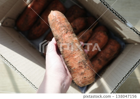 very fresh organic carrots bunch very fresh organic carrots bunch 138047156