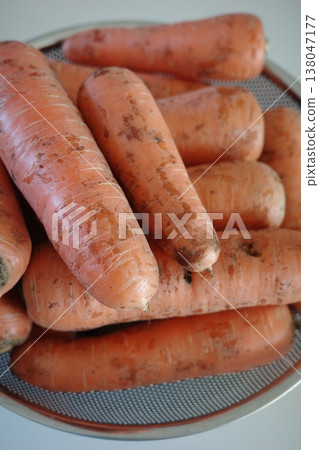 very fresh organic carrots bunch 138047177