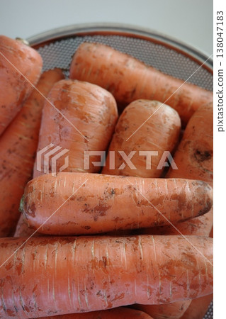 very fresh organic carrots bunch very fresh organic carrots bunch 138047183