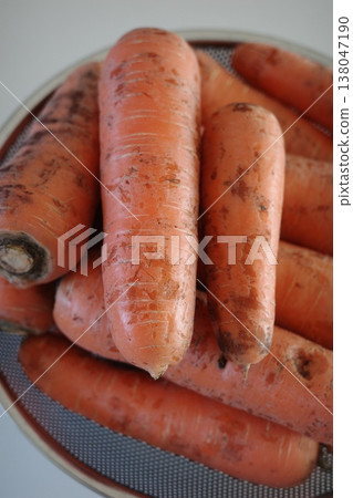 very fresh organic carrots bunch very fresh organic carrots bunch 138047190