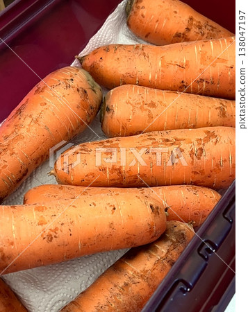 very fresh organic carrots bunch very fresh organic carrots bunch 138047197