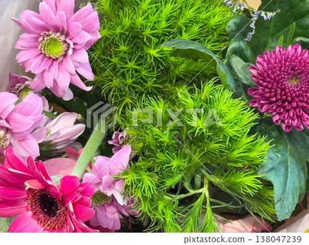 Mixed bouquet with Gerbera jamesonii, Chrysanthemum morifolium and Dianthus barbatus Green Trick in close floral arrangement. Florist design, gift bouquet styling, contrasting texture, decorative Mixed bouquet with Gerbera jamesonii, Chrysanthemum morifolium and Dianthus barbatus Green Trick in close floral arrangement. Florist design, gift bouquet styling, contrasting texture, decorative 138047239
