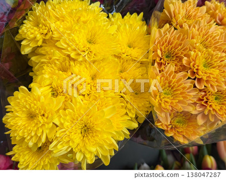 Bright Chrysanthemum indicum blooms in yellow and orange tones arranged in dense florist bouquet wrapping. Seasonal flower trade, decorative arrangement, autumn symbolism, retail presentation Bright Chrysanthemum indicum blooms in yellow and orange tones arranged in dense florist bouquet wrapping. Seasonal flower trade, decorative arrangement, autumn symbolism, retail presentation 138047287