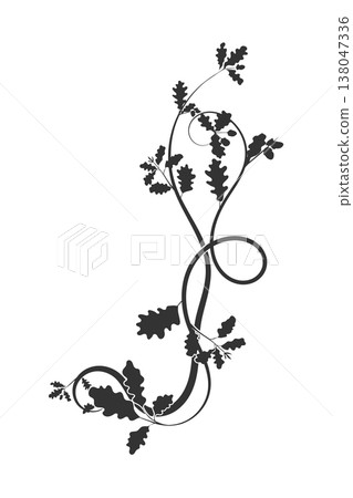 oak element, weaving plant, pattern part, vector 138047336