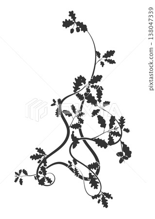 pattern oak leaves and plant weaving new vector 138047339