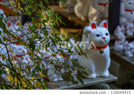 Tokyo city in Japan Tokyo city in Japan 138049415